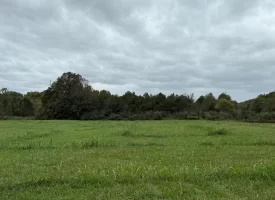 22.42+/-acres Unrestricted with mixture of Pasture and Woods