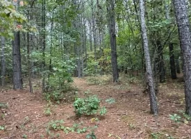 22.42+/-acres Unrestricted with mixture of Pasture and Woods