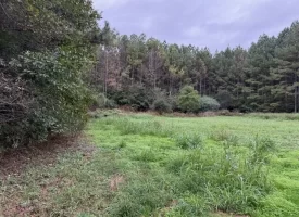 22.42+/-acres Unrestricted with mixture of Pasture and Woods