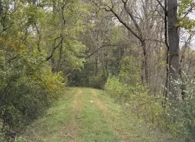 22.42+/-acres Unrestricted with mixture of Pasture and Woods