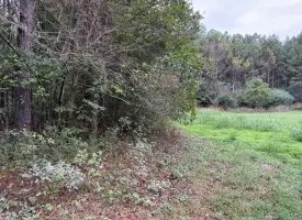 22.42+/-acres Unrestricted with mixture of Pasture and Woods