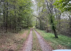22.42+/-acres Unrestricted with mixture of Pasture and Woods