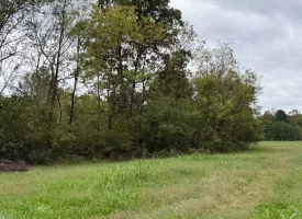 22.42+/-acres Unrestricted with mixture of Pasture and Woods