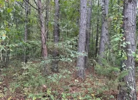 22.42+/-acres Unrestricted with mixture of Pasture and Woods