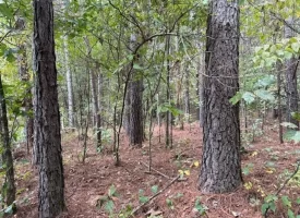 5.03+/-acres Beautiful Unrestricted Wooded Property in Madisonville TN