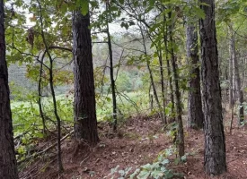 5.03+/-acres Beautiful Unrestricted Wooded Property in Madisonville TN