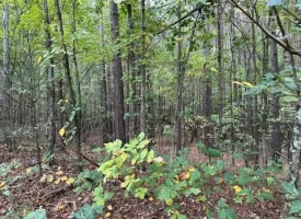5.03+/-acres Beautiful Unrestricted Wooded Property in Madisonville TN