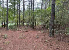 5.03+/-acres Beautiful Unrestricted Wooded Property in Madisonville TN