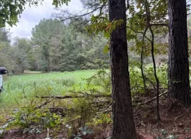 5.03+/-acres Beautiful Unrestricted Wooded Property in Madisonville TN