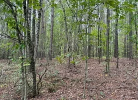 7.2+/-acres Unrestricted Wooded Property in Madisonville TN