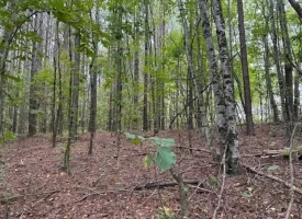 7.2+/-acres Unrestricted Wooded Property in Madisonville TN