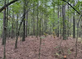 7.2+/-acres Unrestricted Wooded Property in Madisonville TN