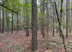 7.2+/-acres Unrestricted Wooded Property in Madisonville TN