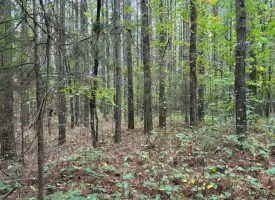 7.2+/-acres Unrestricted Wooded Property in Madisonville TN