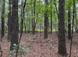 7.2+/-acres Unrestricted Wooded Property in Madisonville TN