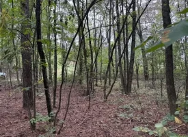 7.2+/-acres Unrestricted Wooded Property in Madisonville TN