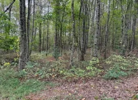 7.2+/-acres Unrestricted Wooded Property in Madisonville TN