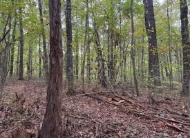5.20+/-acres unrestricted property with Hardwoods.
