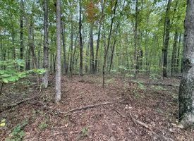 5.20+/-acres unrestricted property with Hardwoods.