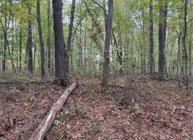 5.20+/-acres unrestricted property with Hardwoods.