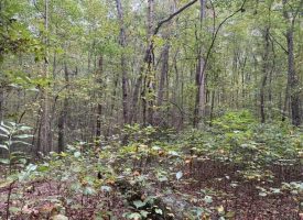 5.20+/-acres unrestricted property with Hardwoods.