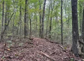 5.07+/-acres Unrestricted wooded property near Monteagle.