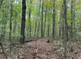 5.07+/-acres Unrestricted wooded property near Monteagle.