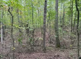 5.07+/-acres Unrestricted wooded property near Monteagle.