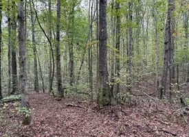 5.07+/-acres Unrestricted wooded property near Monteagle.