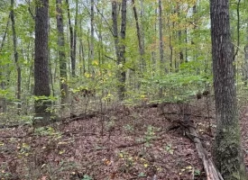 5.07+/-acres Unrestricted wooded property near Monteagle.