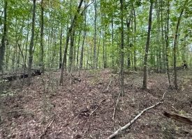 5.10+/-acres unrestricted property with Hardwoods.