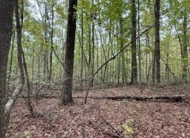 5.10+/-acres unrestricted property with Hardwoods.
