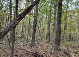 5.10+/-acres unrestricted property with Hardwoods.