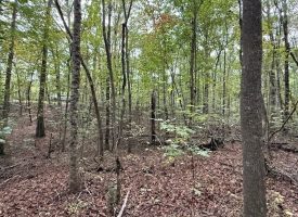 5.10+/-acres unrestricted property with Hardwoods.