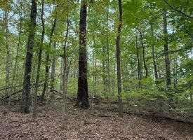 5.10+/-acres unrestricted property with Hardwoods.