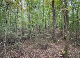 5.10+/-acres unrestricted property with Hardwoods.
