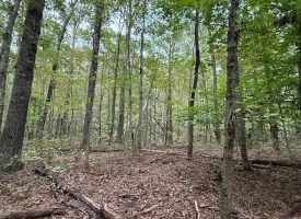 5.10+/-acres unrestricted property with Hardwoods.