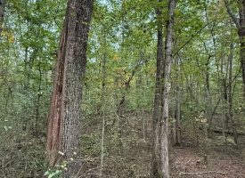 5.10+/-acres unrestricted property with Hardwoods.