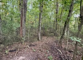 5.10+/-acres unrestricted property with Hardwoods.