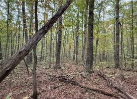 5.10+/-acres unrestricted property with Hardwoods.