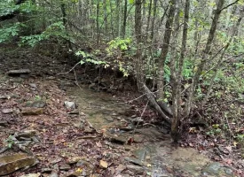 148+/-acres Unrestricted Hunting Tract in Palmer TN