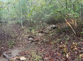 148+/-acres Unrestricted Hunting Tract in Palmer TN