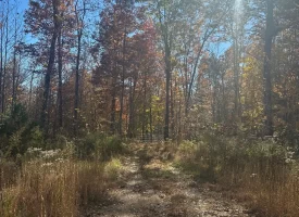 SOLD!! 5+/-acres Unrestricted with Year-Round Creek