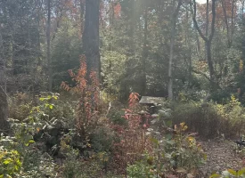 SOLD!! 5+/-acres Unrestricted with Year-Round Creek