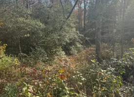 SOLD!! 5+/-acres Unrestricted with Year-Round Creek