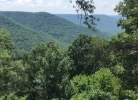 Discover 3.47+/- acres of beautiful, wooded land in the desirable Sequatchie Point