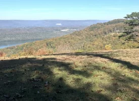 Discover 3.47+/- acres of beautiful, wooded land in the desirable Sequatchie Point