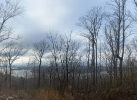 5.08+/-acres Beautiful Views of the Tennessee River