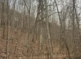 5.08+/-acres Beautiful Views of the Tennessee River