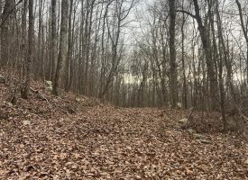 5.08+/-acres Beautiful Views of the Tennessee River